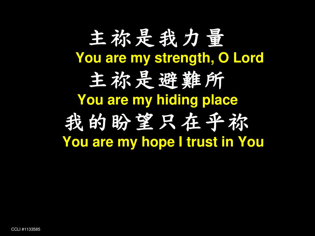 主祢是我力量 You are my strength, O Lord 主祢是避難所