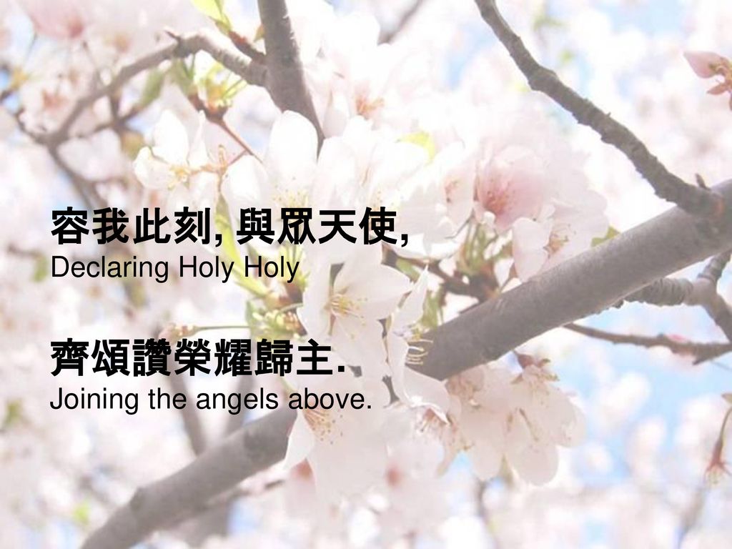 容我此刻, 與眾天使, Declaring Holy Holy 齊頌讚榮耀歸主. Joining the angels above.