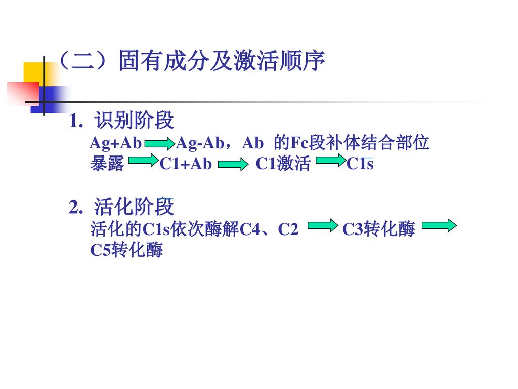 （二）固有成分及激活顺序 1. 识别阶段 2. 活化阶段 Ag+Ab Ag-Ab，Ab 的Fc段补体结合部位