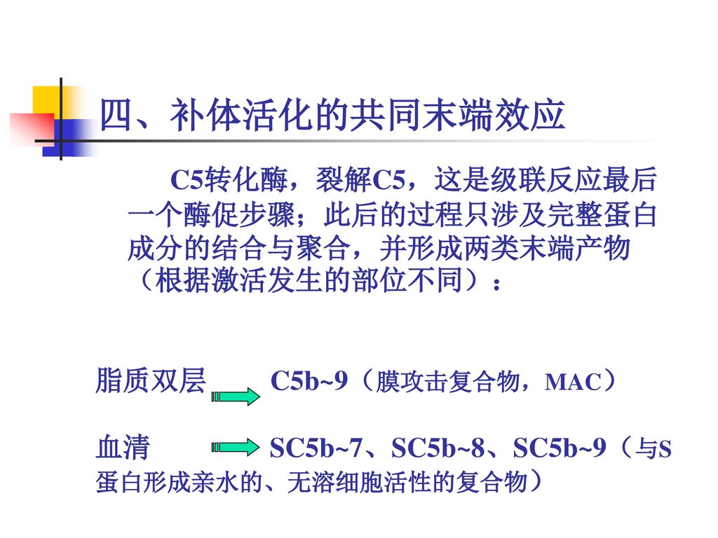 四、补体活化的共同末端效应 C5转化酶，裂解C5，这是级联反应最后一个酶促步骤；此后的过程只涉及完整蛋白成分的结合与聚合，并形成两类末端产物（根据激活发生的部位不同）： 脂质双层 C5b~9（膜攻击复合物，MAC）