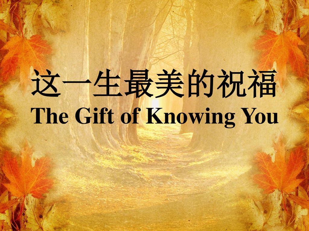 这一生最美的祝福 The Gift of Knowing You