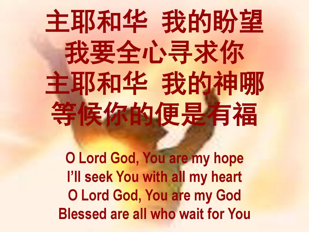 主耶和华 我的盼望 我要全心寻求你 主耶和华 我的神哪 等候你的便是有福