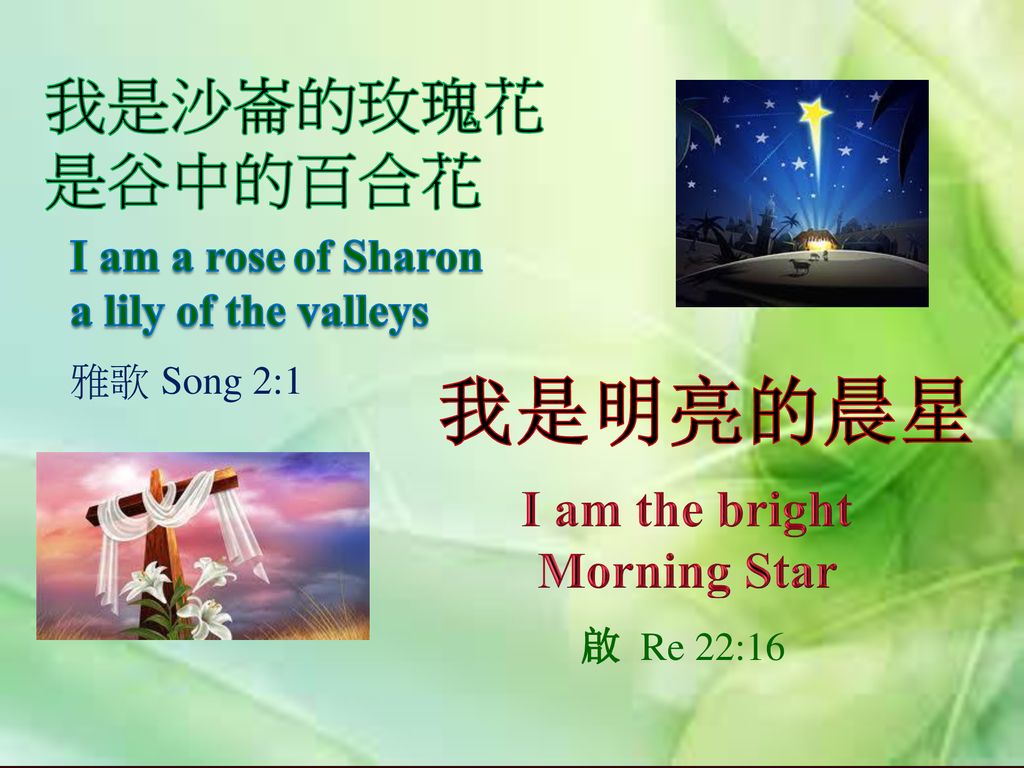 I am the bright Morning Star