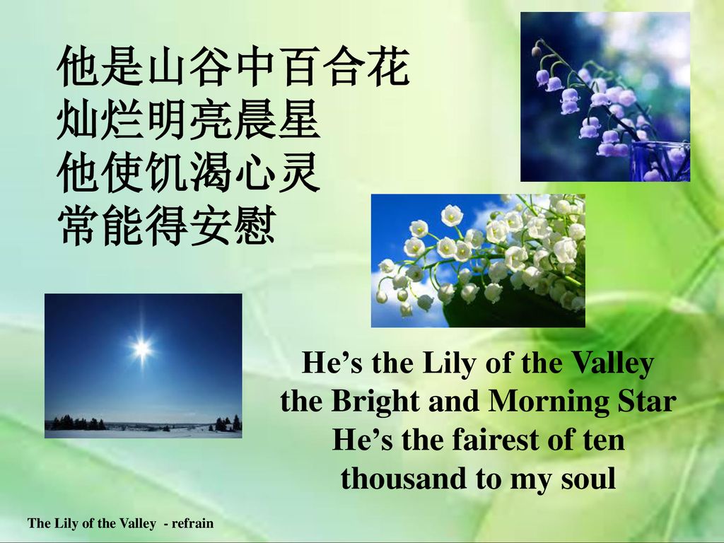 The Lily of the Valley - refrain