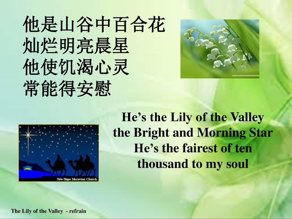 The Lily of the Valley - refrain