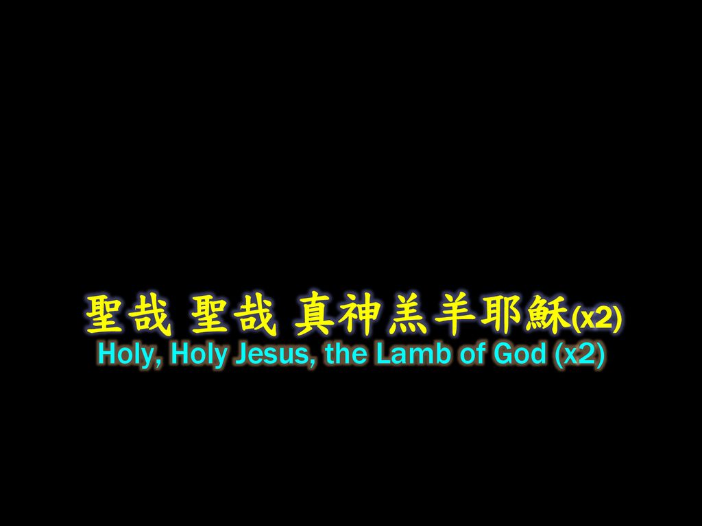 Holy, Holy Jesus, the Lamb of God (x2)