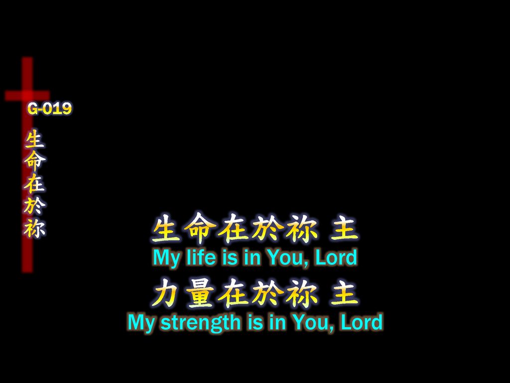 My strength is in You, Lord