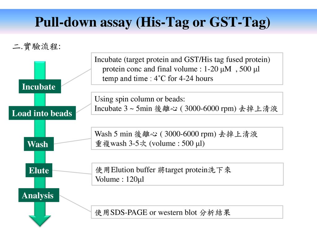 Pull-down assay (His-Tag or GST-Tag)