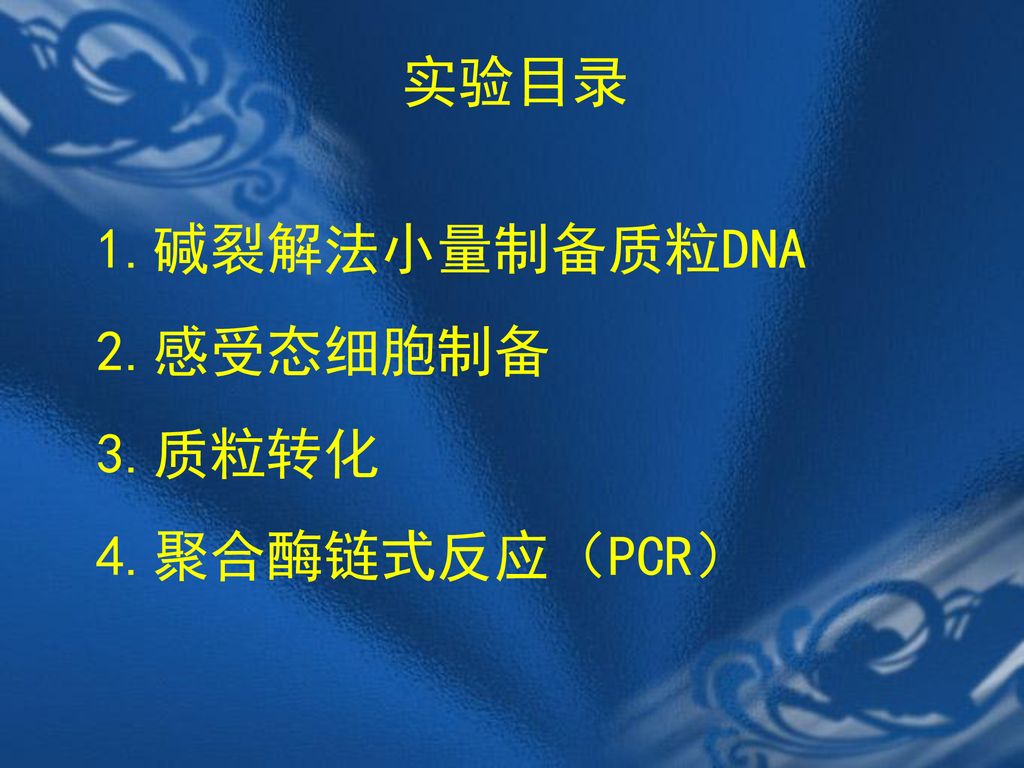 实验目录 碱裂解法小量制备质粒DNA 2.感受态细胞制备 3.质粒转化 4.聚合酶链式反应（PCR）