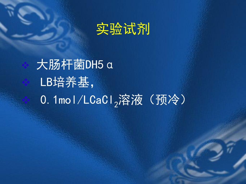 实验试剂 大肠杆菌DH5α LB培养基， 0.1mol/LCaCl2溶液（预冷）