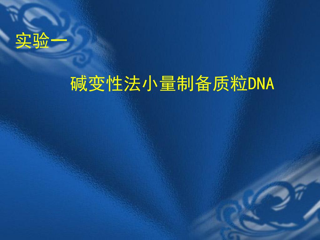 实验一 碱变性法小量制备质粒DNA