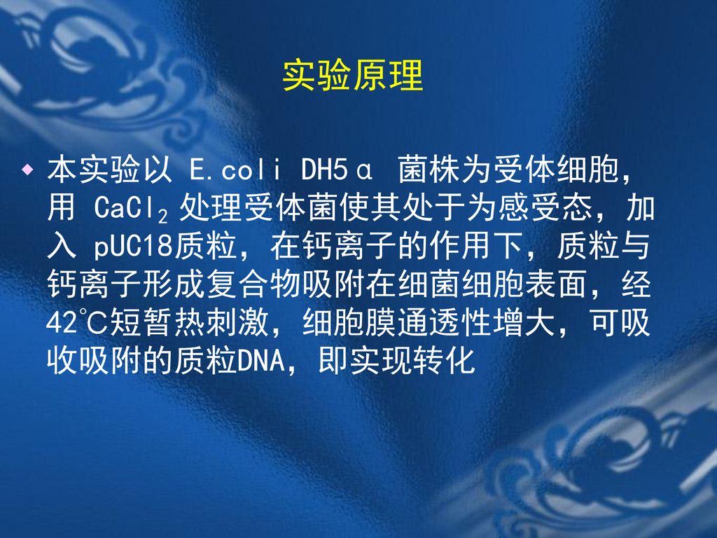 实验原理 本实验以 E.coli DH5α 菌株为受体细胞，用 CaCl2 处理受体菌使其处于为感受态，加入 pUC18质粒，在钙离子的作用下，质粒与钙离子形成复合物吸附在细菌细胞表面，经42℃短暂热刺激，细胞膜通透性增大，可吸收吸附的质粒DNA，即实现转化.