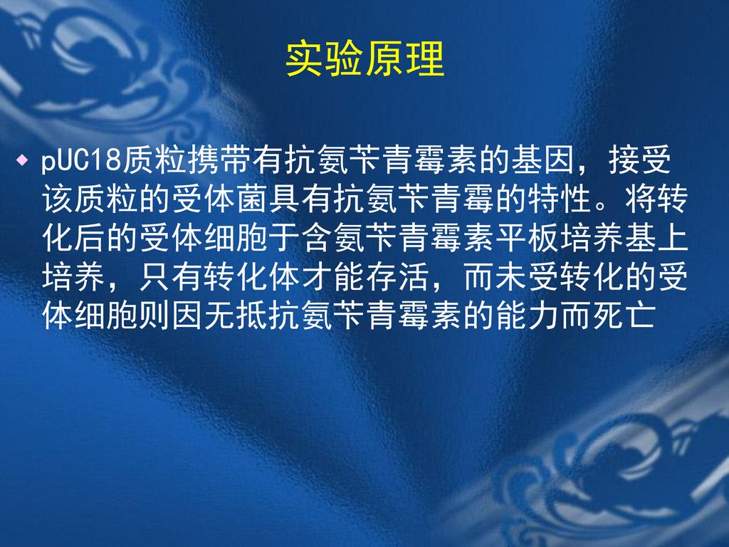 实验原理 pUC18质粒携带有抗氨苄青霉素的基因，接受该质粒的受体菌具有抗氨苄青霉的特性。将转化后的受体细胞于含氨苄青霉素平板培养基上培养，只有转化体才能存活，而未受转化的受体细胞则因无抵抗氨苄青霉素的能力而死亡.