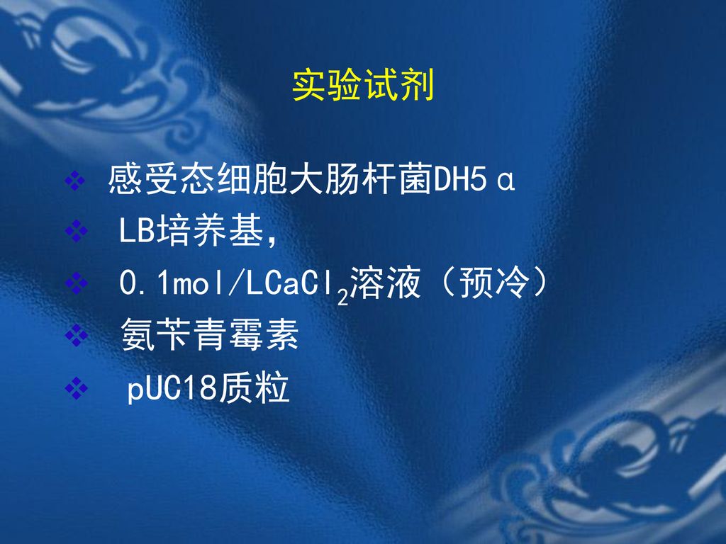 实验试剂 感受态细胞大肠杆菌DH5α LB培养基， 0.1mol/LCaCl2溶液（预冷） 氨苄青霉素 pUC18质粒