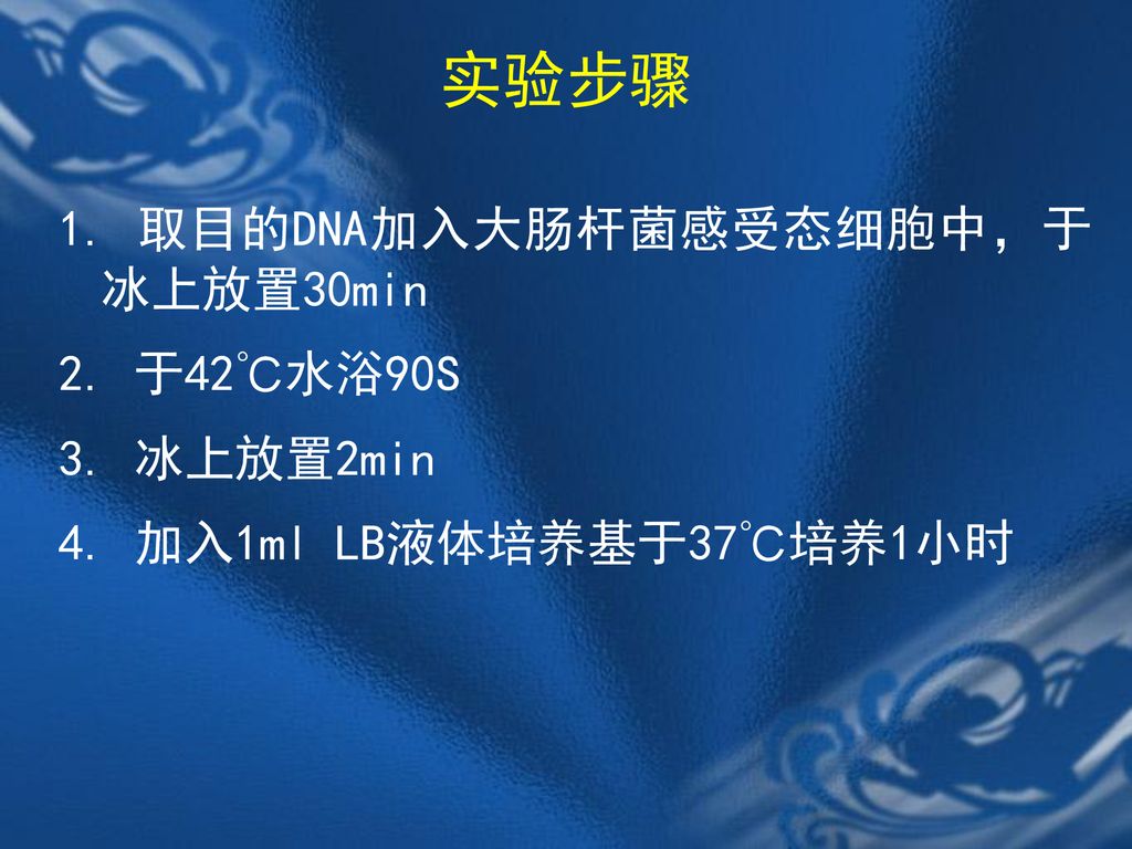 实验步骤 1. 取目的DNA加入大肠杆菌感受态细胞中，于冰上放置30min 2. 于42℃水浴90S 3. 冰上放置2min