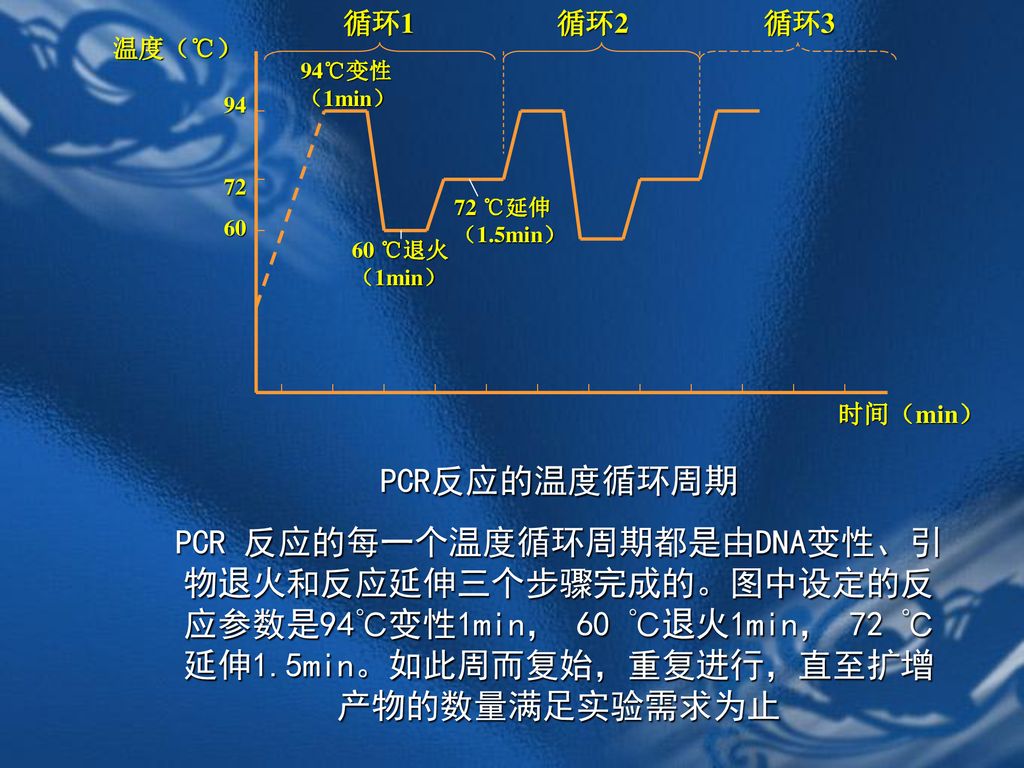 温度（℃） 时间（min） ℃变性（1min） 60 ℃退火（1min） 72 ℃延伸（1.5min） 循环1 循环2 循环3.