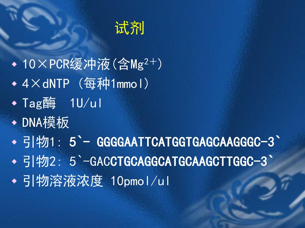 试剂 10×PCR缓冲液(含Mg2＋) 4×dNTP (每种1mmol) Tag酶 1U/ul DNA模板