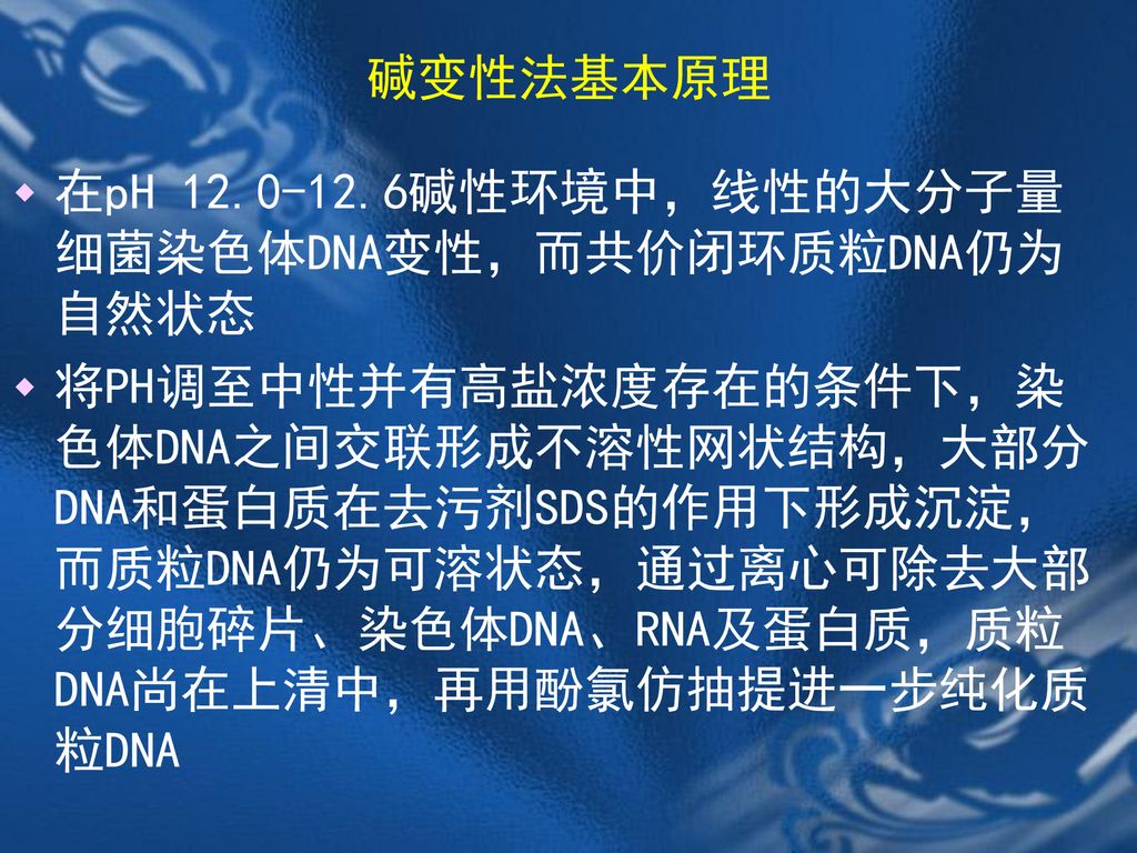 碱变性法基本原理 在pH 碱性环境中，线性的大分子量细菌染色体DNA变性，而共价闭环质粒DNA仍为自然状态.