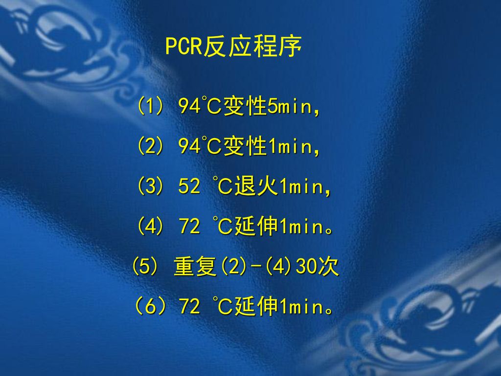 PCR反应程序 (1) 94℃变性5min， (2) 94℃变性1min， (3) 52 ℃退火1min， (4) 72 ℃延伸1min。