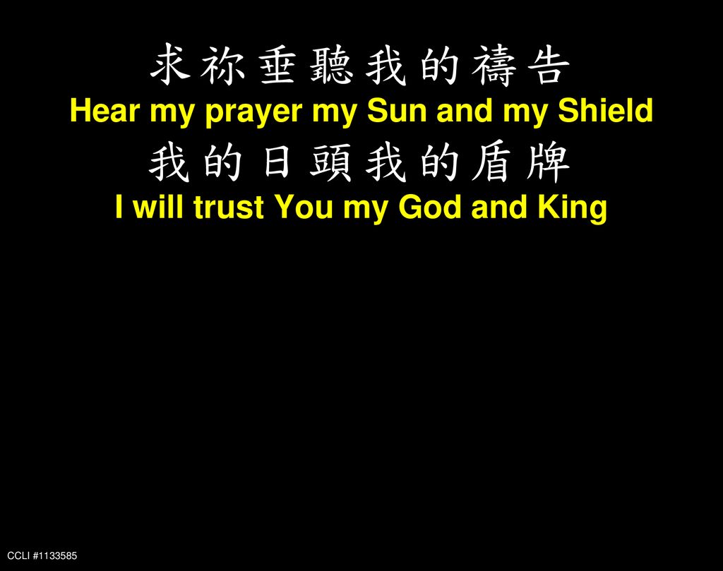 Hear my prayer my Sun and my Shield I will trust You my God and King