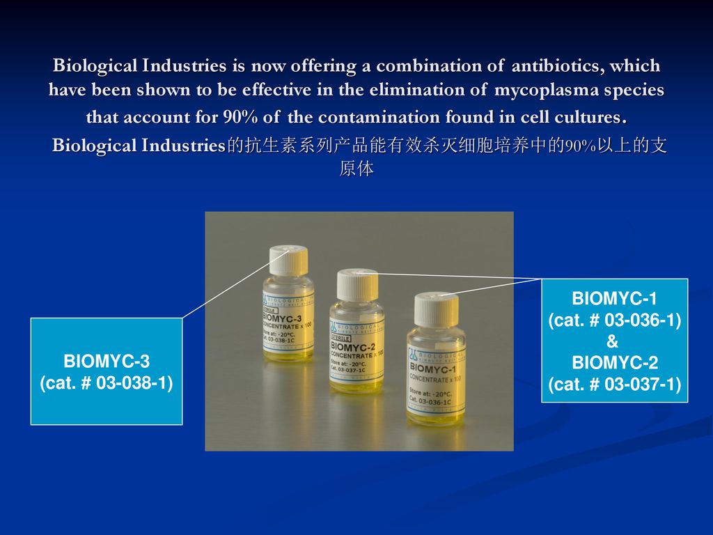 Biological Industries is now offering a combination of antibiotics, which have been shown to be effective in the elimination of mycoplasma species that account for 90% of the contamination found in cell cultures. Biological Industries的抗生素系列产品能有效杀灭细胞培养中的90%以上的支原体