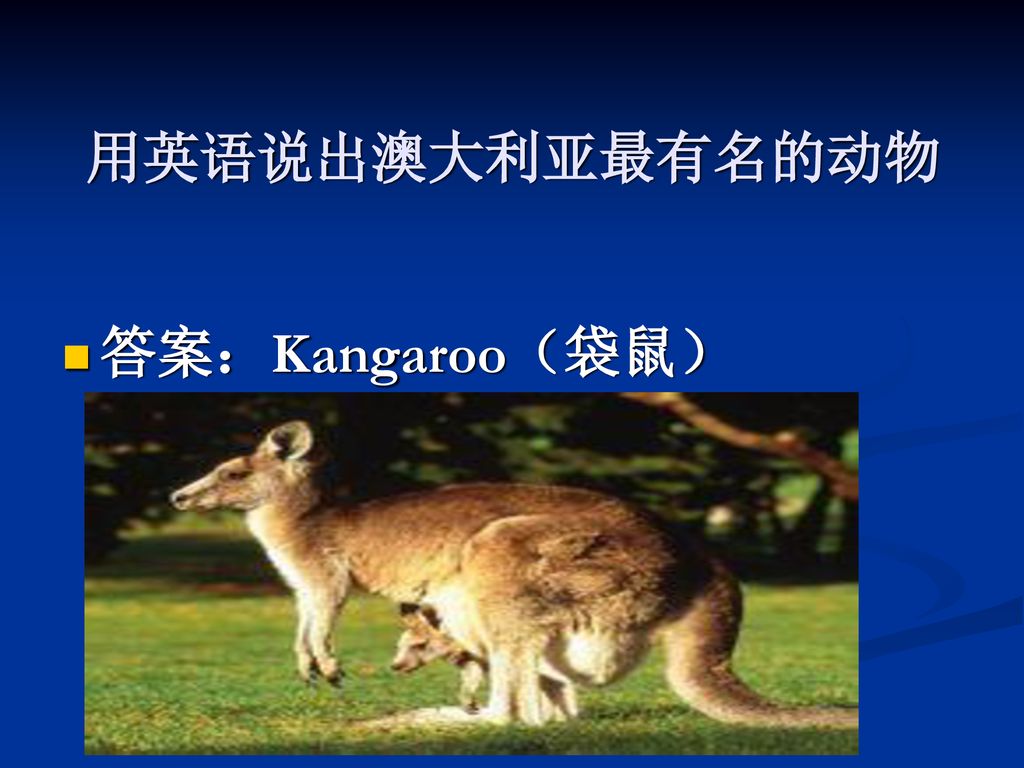 用英语说出澳大利亚最有名的动物 答案：Kangaroo（袋鼠）