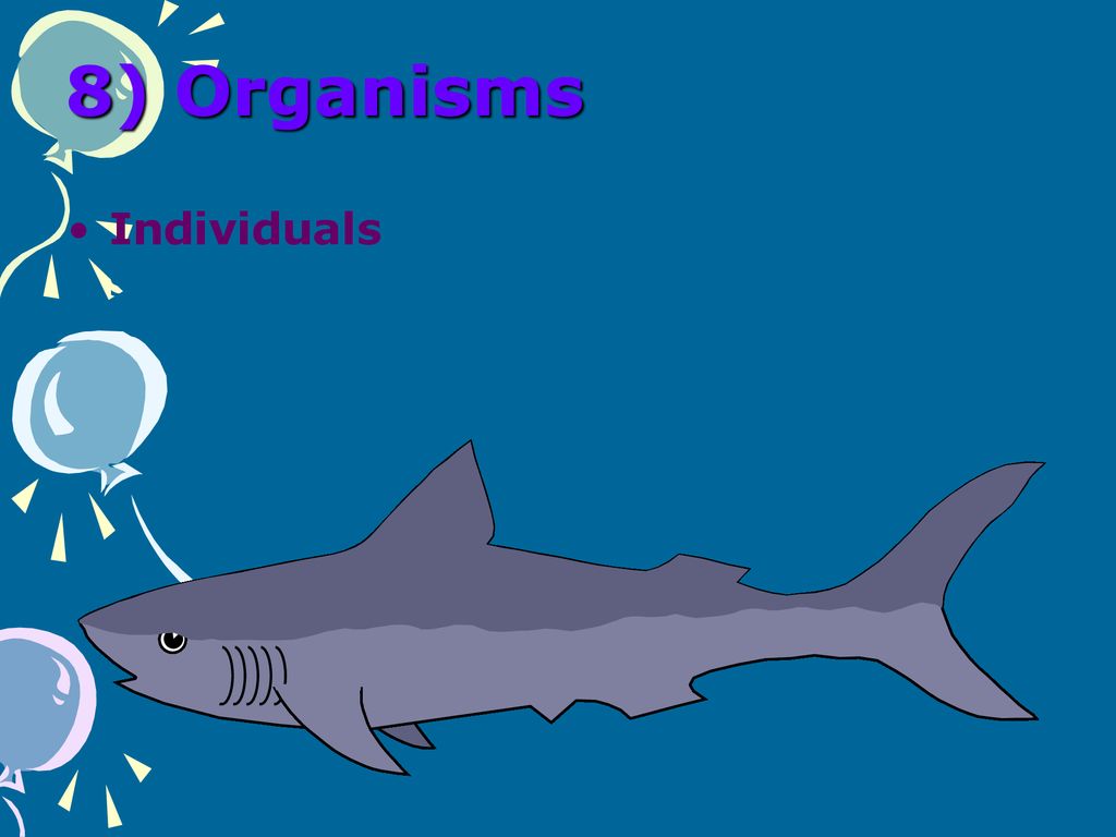 8) Organisms Individuals (species) composed of many specialized cells.