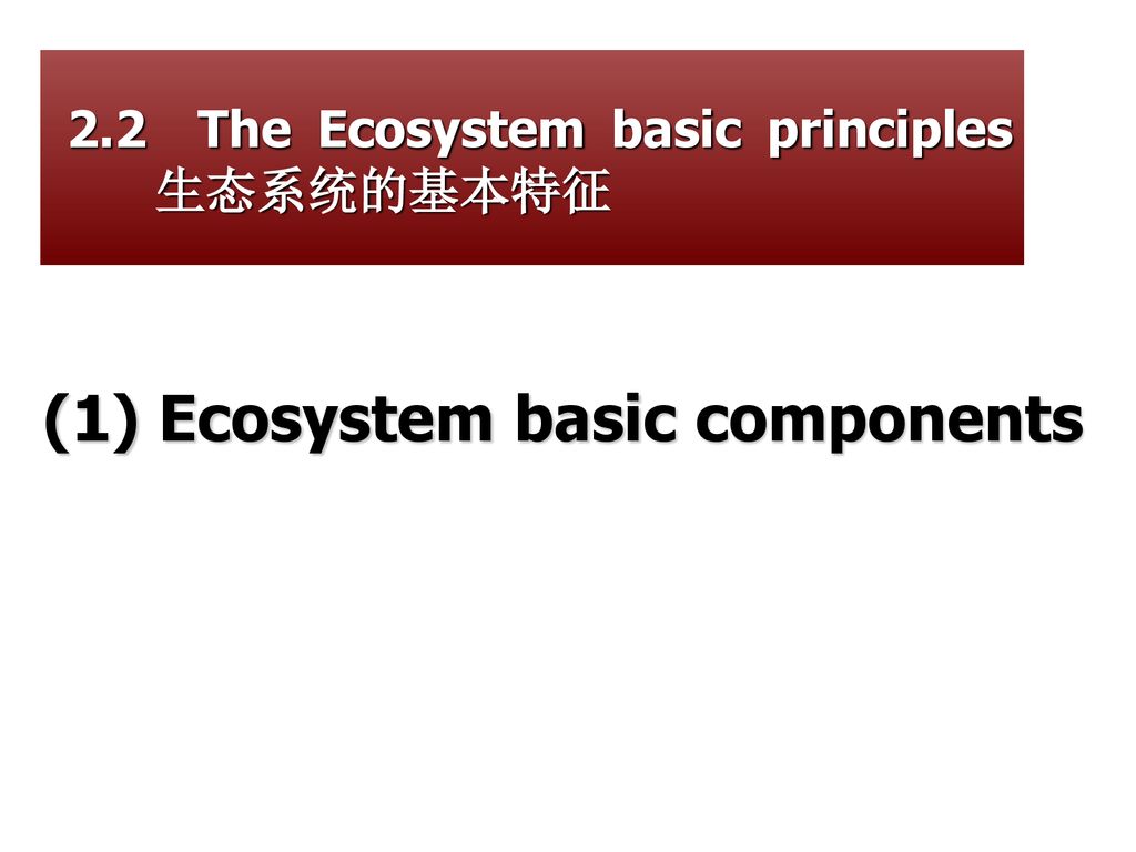 (1) Ecosystem basic components