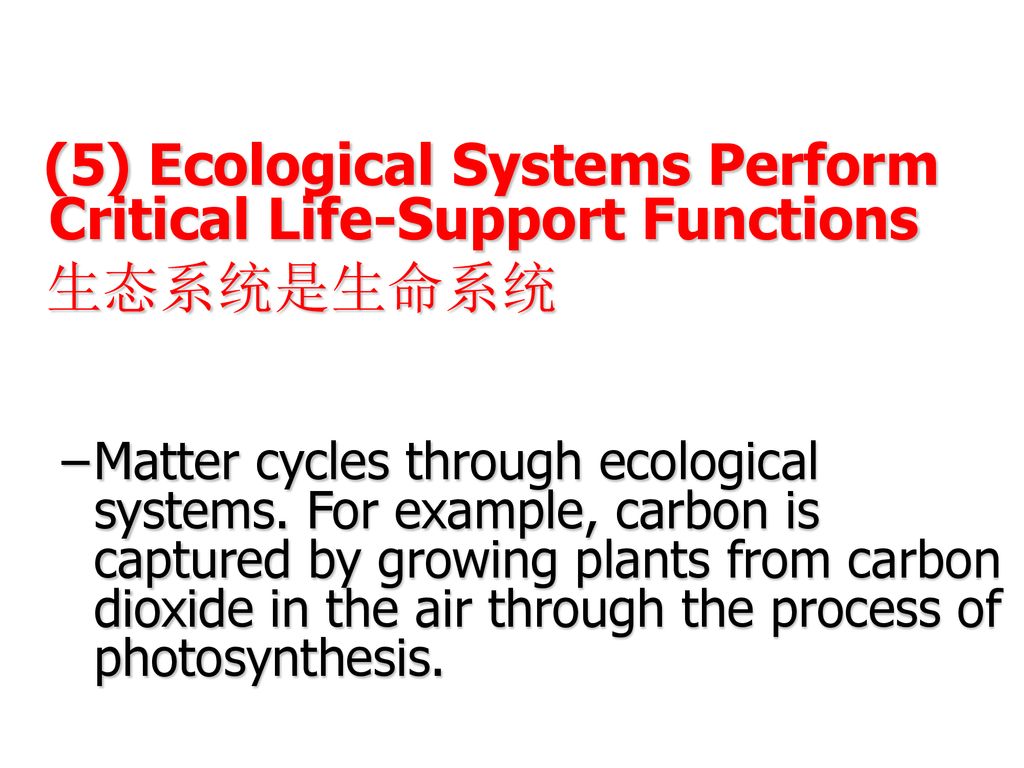 (5) Ecological Systems Perform Critical Life-Support Functions