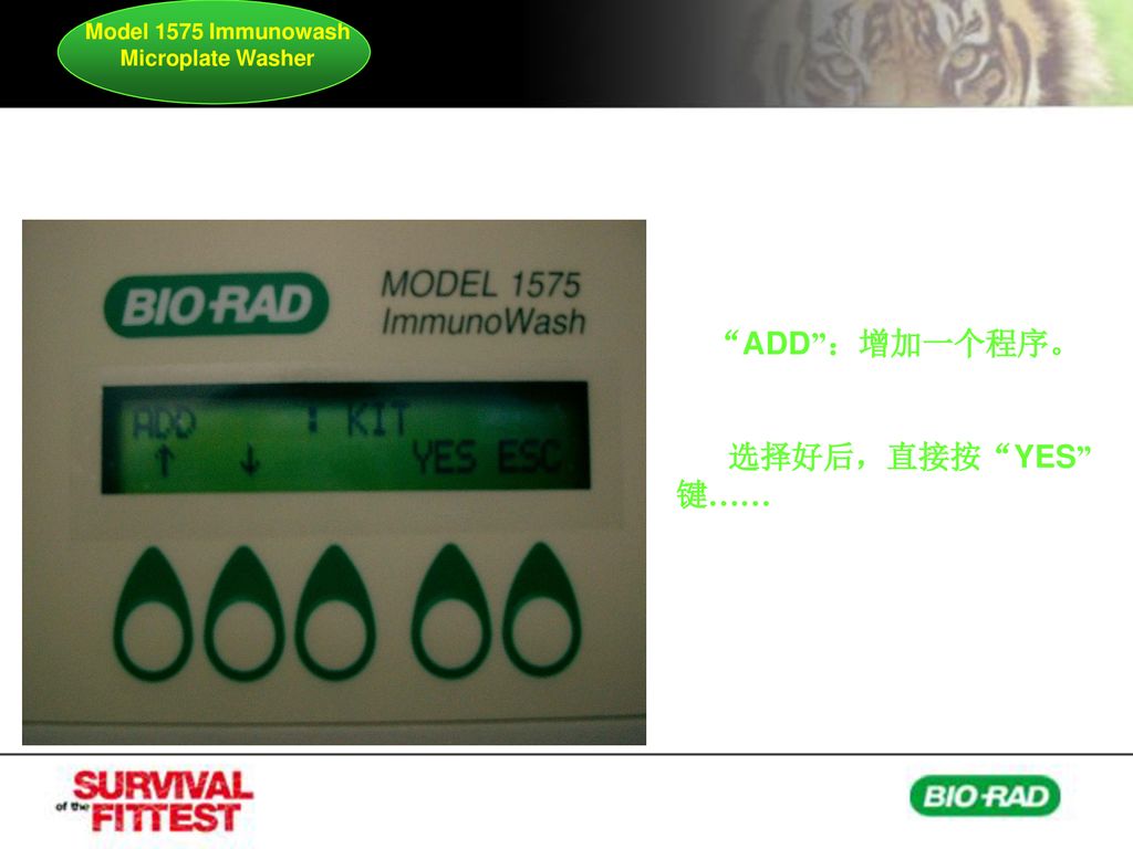 Model 1575 Immunowash Microplate Washer