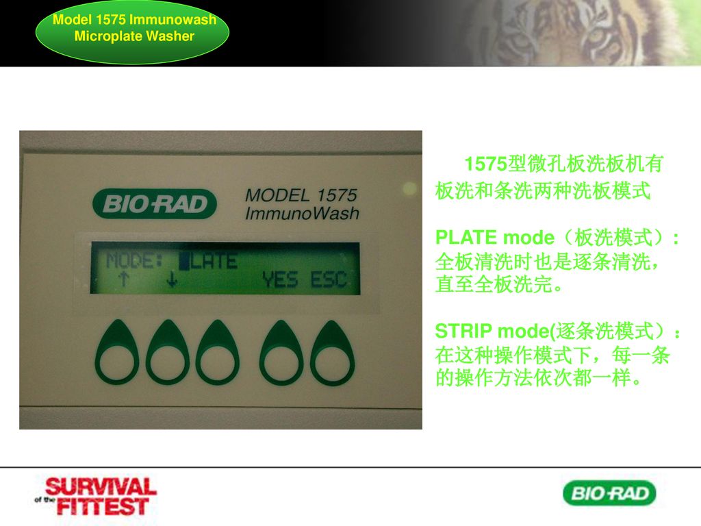 Model 1575 Immunowash Microplate Washer