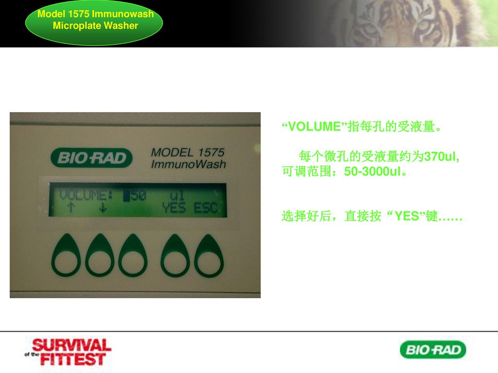 Model 1575 Immunowash Microplate Washer