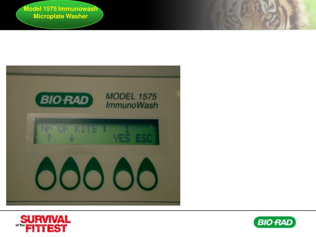 Model 1575 Immunowash Microplate Washer