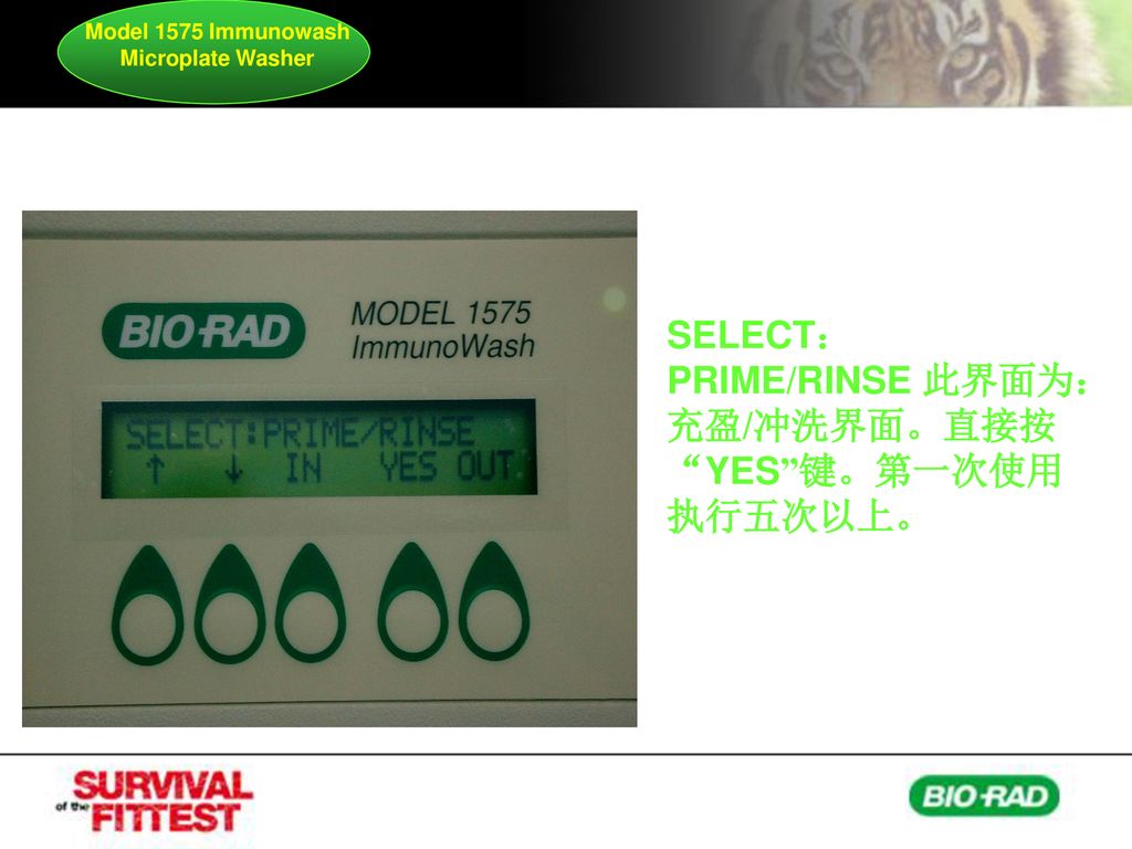 Model 1575 Immunowash Microplate Washer