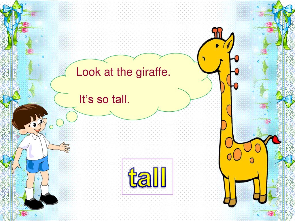 tall Look at the giraffe. It’s so tall.