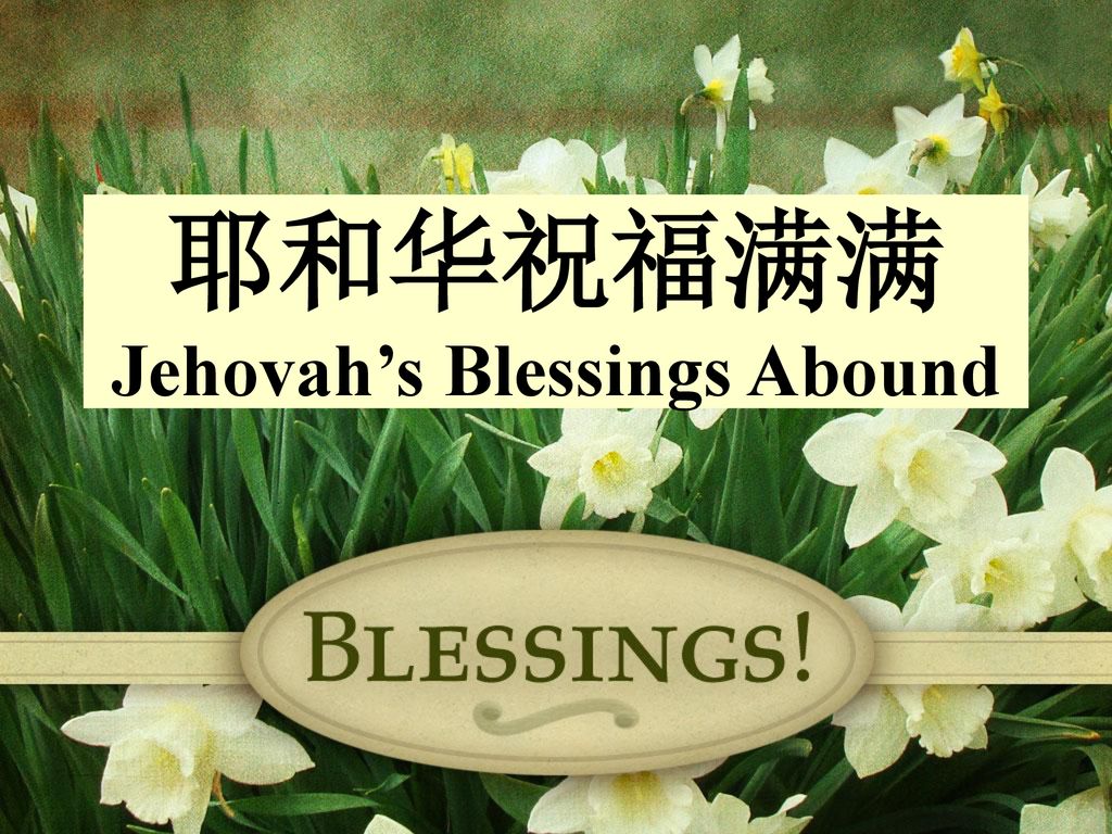 耶和华祝福满满 jehovah"s blessings abound 田中的白鹭丝无见缺什么