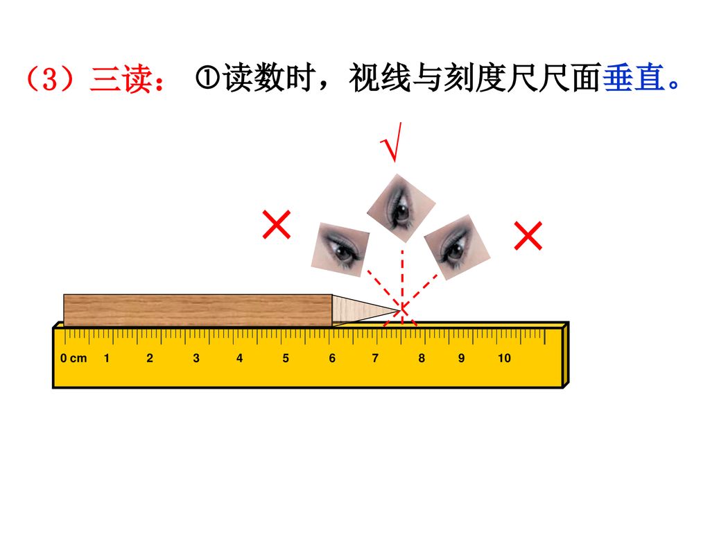 （3）三读： 读数时，视线与刻度尺尺面垂直。 √ × ×