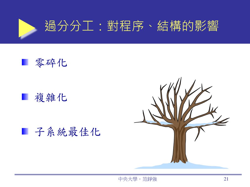 過分分工：對程序、結構的影響 零碎化 複雜化 子系統最佳化 中央大學。范錚強