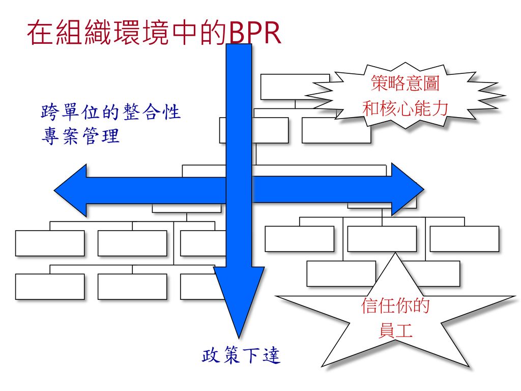 在組織環境中的BPR 策略意圖 和核心能力 跨單位的整合性 專案管理 信任你的 員工 政策下達