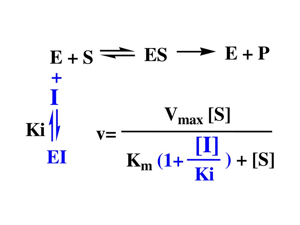 v = V m a x [ S ] K ( 1 + i [I] ) E P I