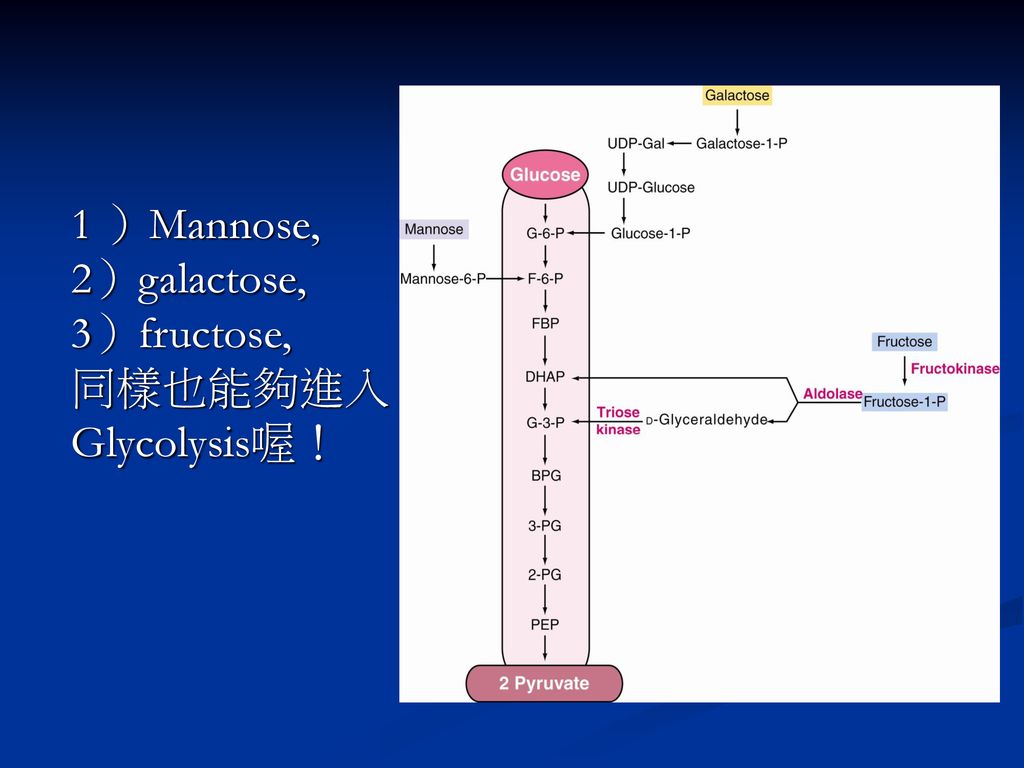 18-3 课堂整理 第十五组 0993b010 张维哲 0993b042 游博雄.