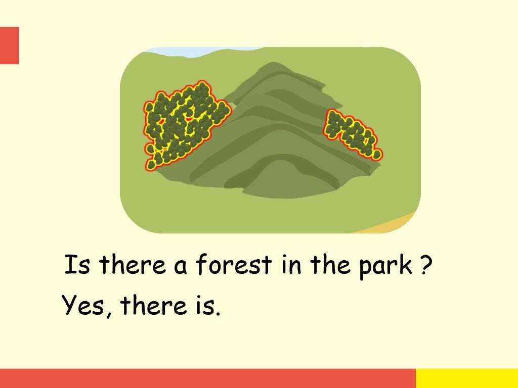 Is there a forest in the park