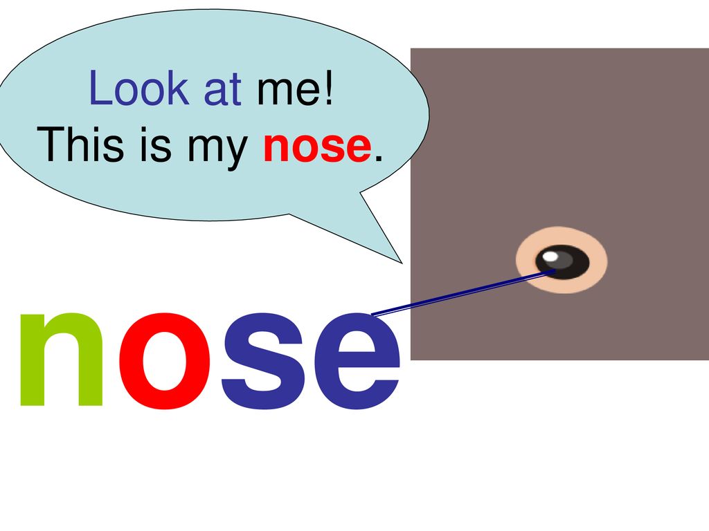 Look at me! This is my nose. nose