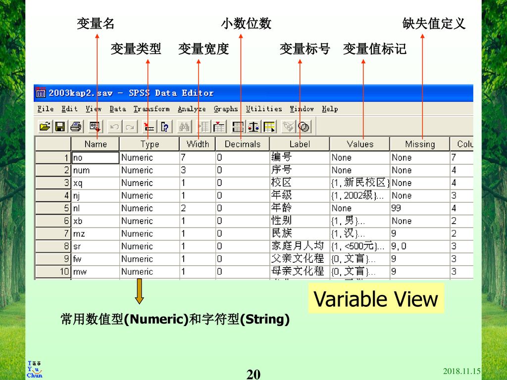 Variable View 变量名 小数位数 缺失值定义 变量类型 变量宽度 变量标号 变量值标记