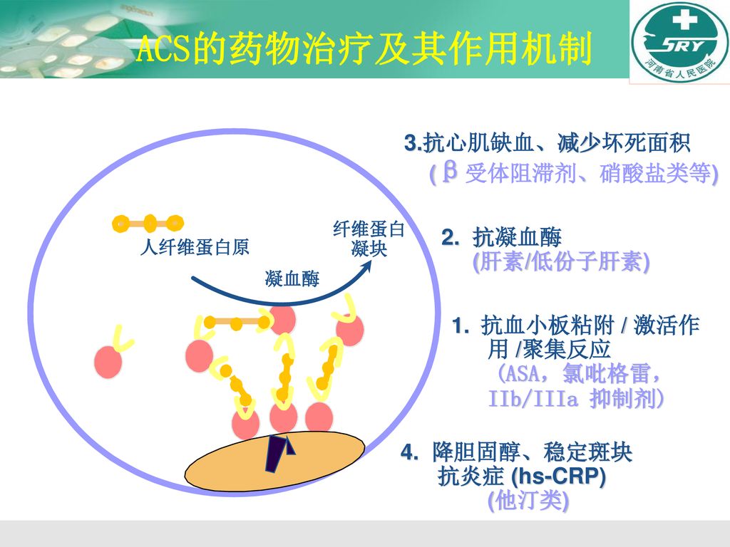 ACS的药物治疗及其作用机制 3.抗心肌缺血、减少坏死面积 (β受体阻滞剂、硝酸盐类等) 2. 抗凝血酶 (肝素/低份子肝素)