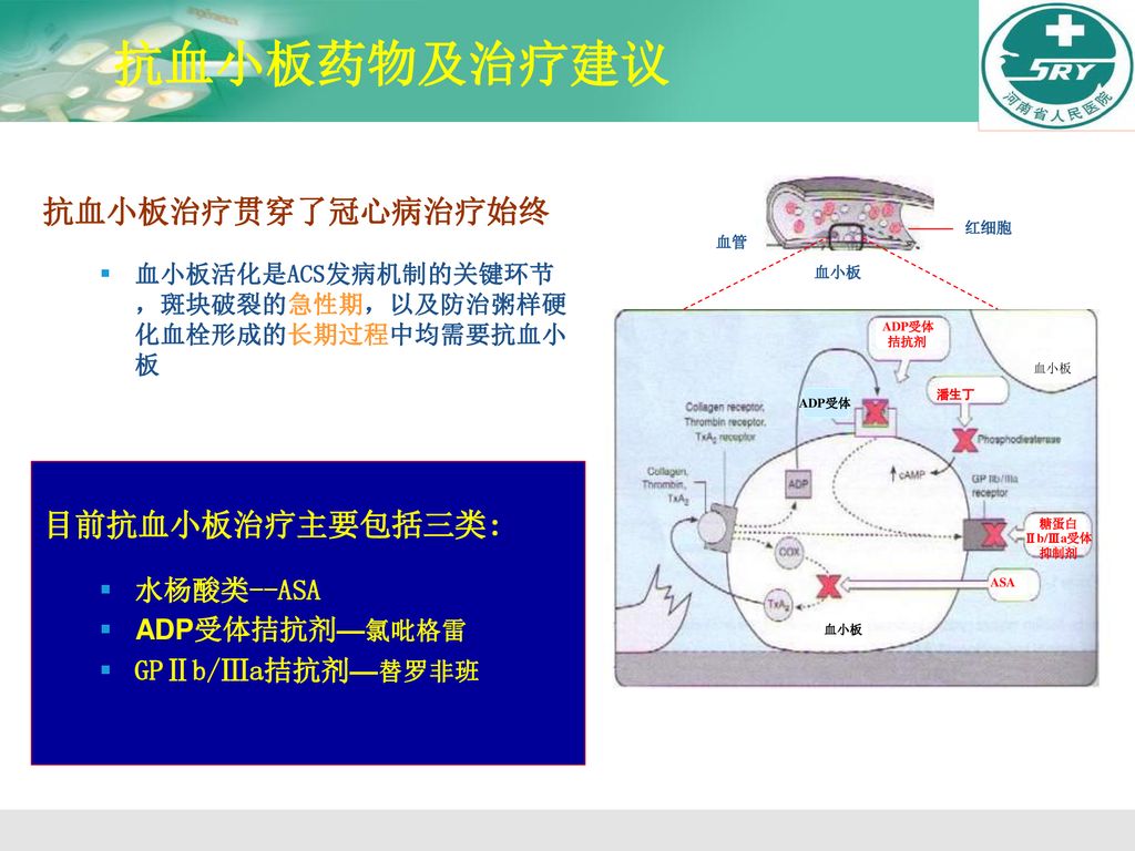 抗血小板药物及治疗建议 抗血小板治疗贯穿了冠心病治疗始终 目前抗血小板治疗主要包括三类: 水杨酸类--ASA ADP受体拮抗剂—氯吡格雷