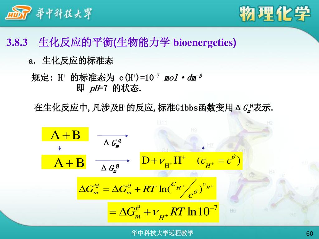 3.8.3 生化反应的平衡(生物能力学 bioenergetics)