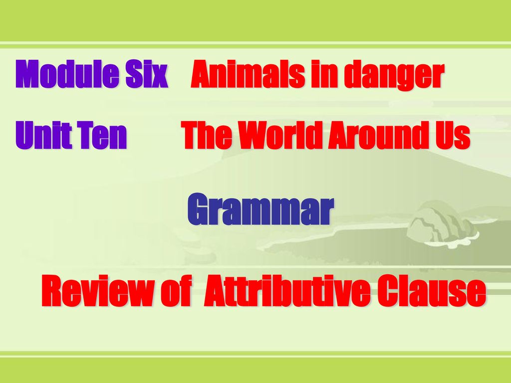 Review of Attributive Clause