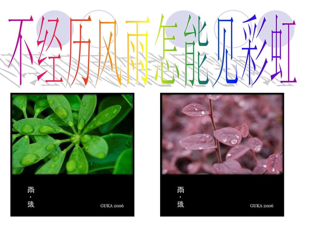 不经历风雨怎能见彩虹