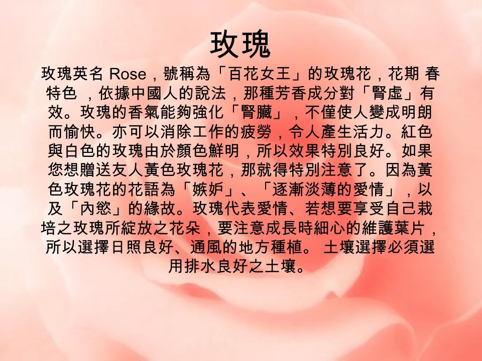 玫瑰玫瑰英名rose 號稱為 百花女王 的玫瑰花 花期春特色 依據中國人的說法 那種芳香成分對 腎虛 有效 玫瑰的香氣能夠強化 腎臟 不僅使人變成明朗而愉快 亦可以消除工作的疲勞 令人產生活力 紅色與白色的玫瑰由於顏色鮮明 所以效果特別良好 如果您想